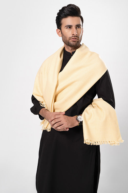 Kashmiri Shawl