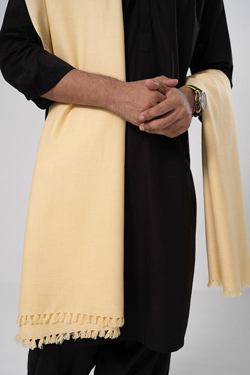 Kashmiri Shawl