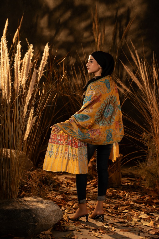 Twilight Pashmina Kalamkar Stole