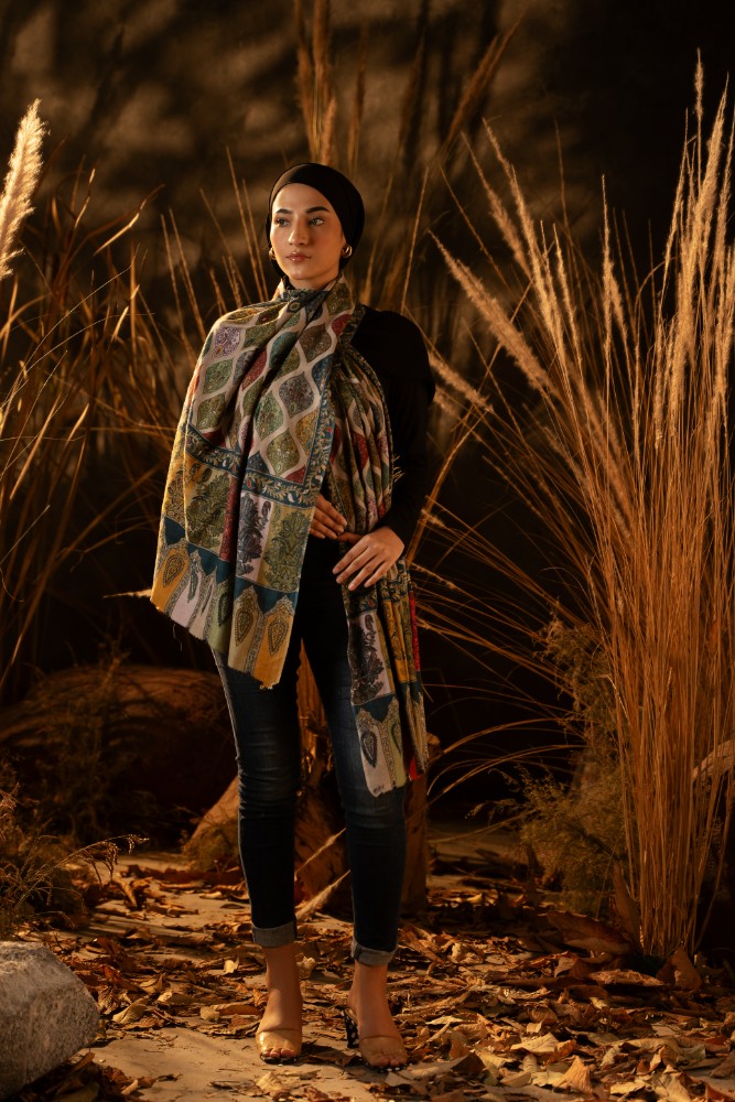 Rustic Pashmina Kalamkar Stole