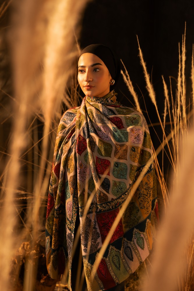 Rustic Pashmina Kalamkar Stole