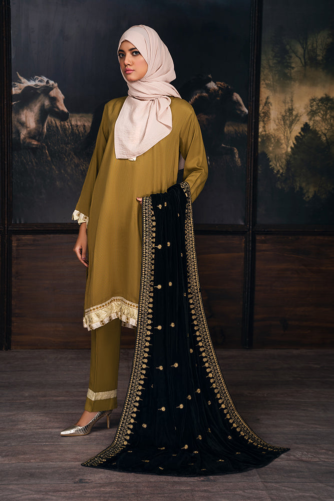 Zardozi Velvet