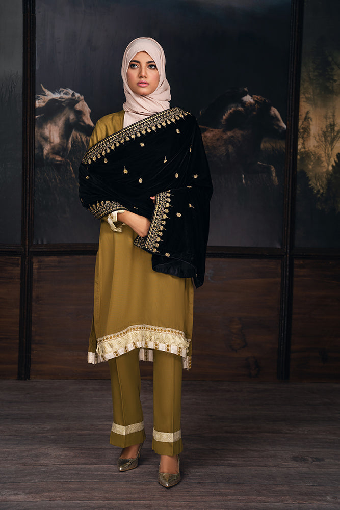 Zardozi Velvet