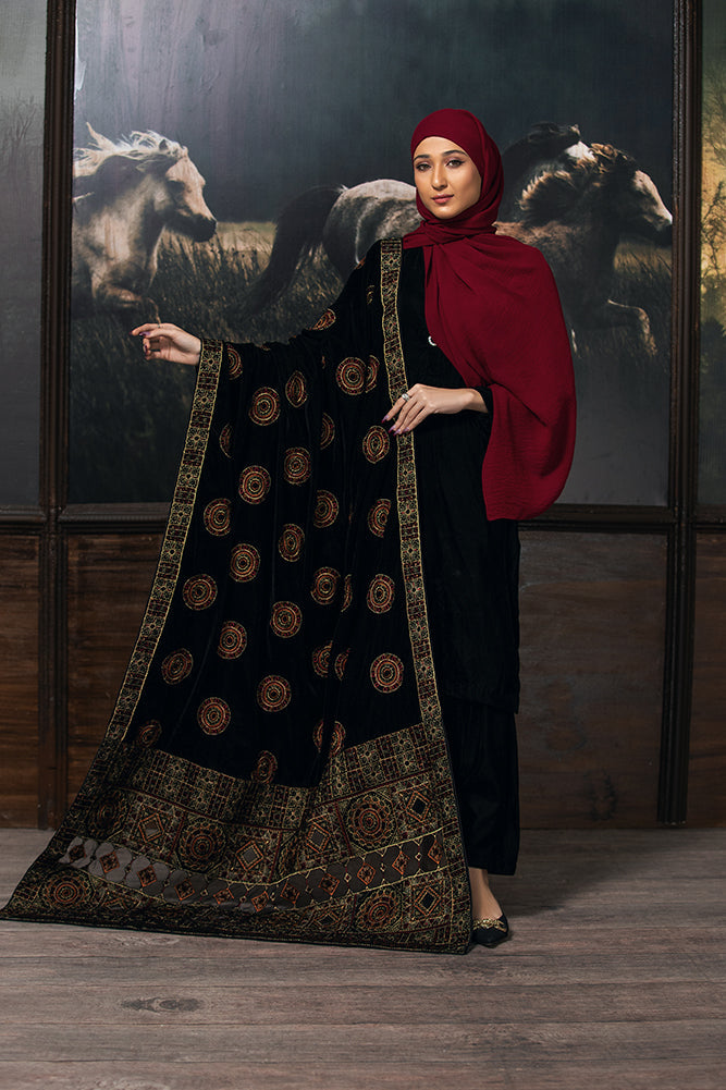 Elegant Zardozi Needlework Velvet