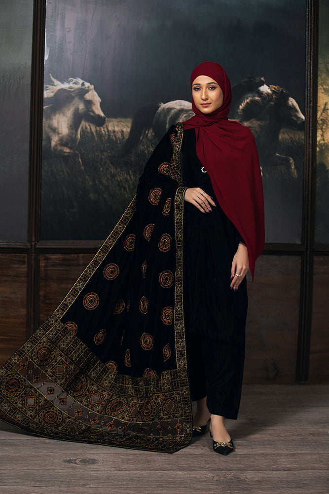 Elegant Zardozi Needlework Velvet
