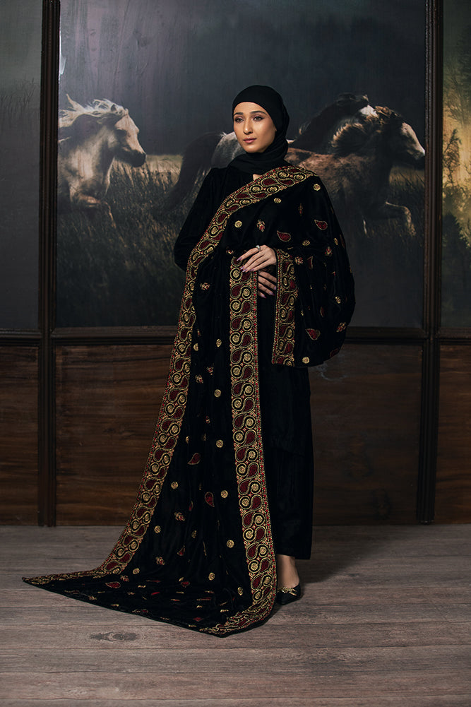 Glamorous Zardozi Velvet