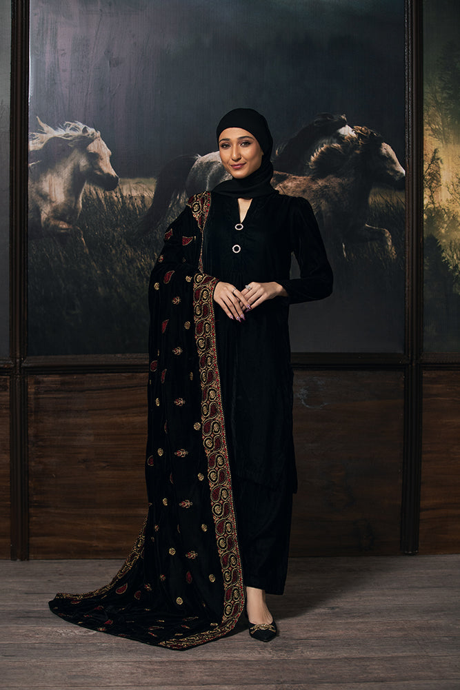Glamorous Zardozi Velvet