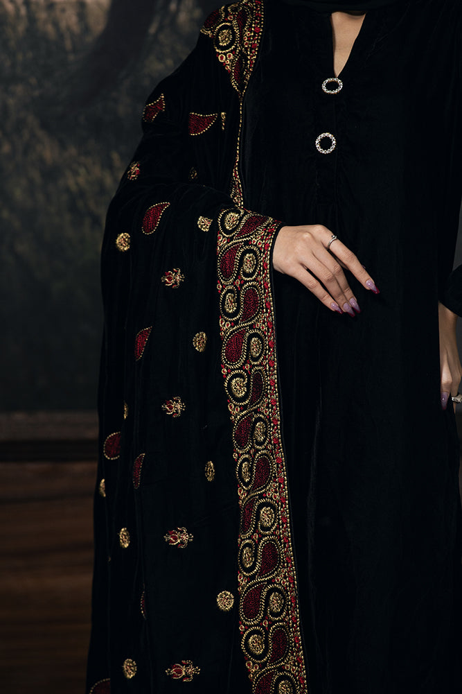 Glamorous Zardozi Velvet