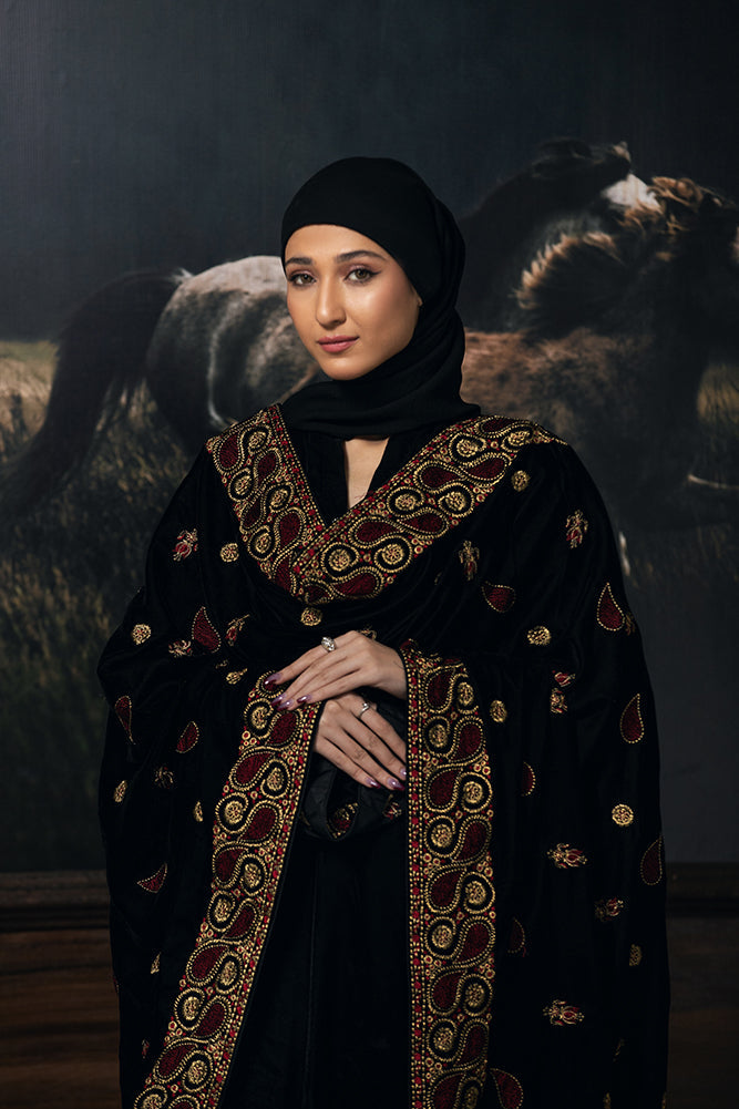 Glamorous Zardozi Velvet