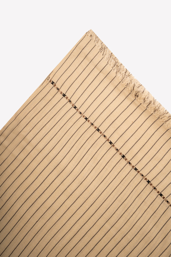 Pallandri Dhussa Light Striped